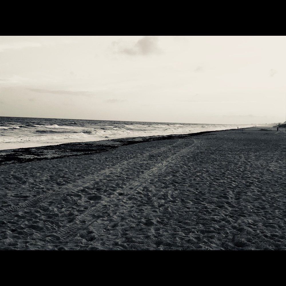 Meet your Posher, Judy